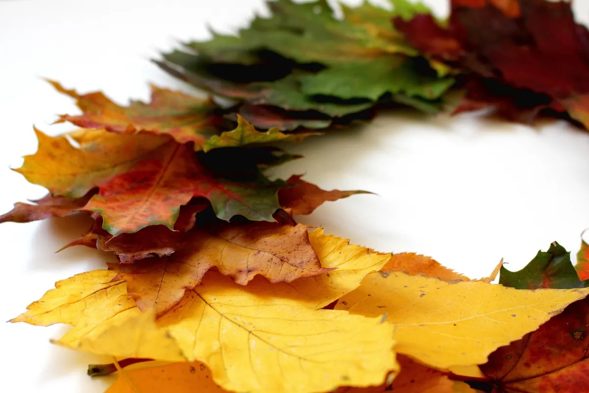 Autumn Wreath Ideas Using Foraged UK Leaves and Berries